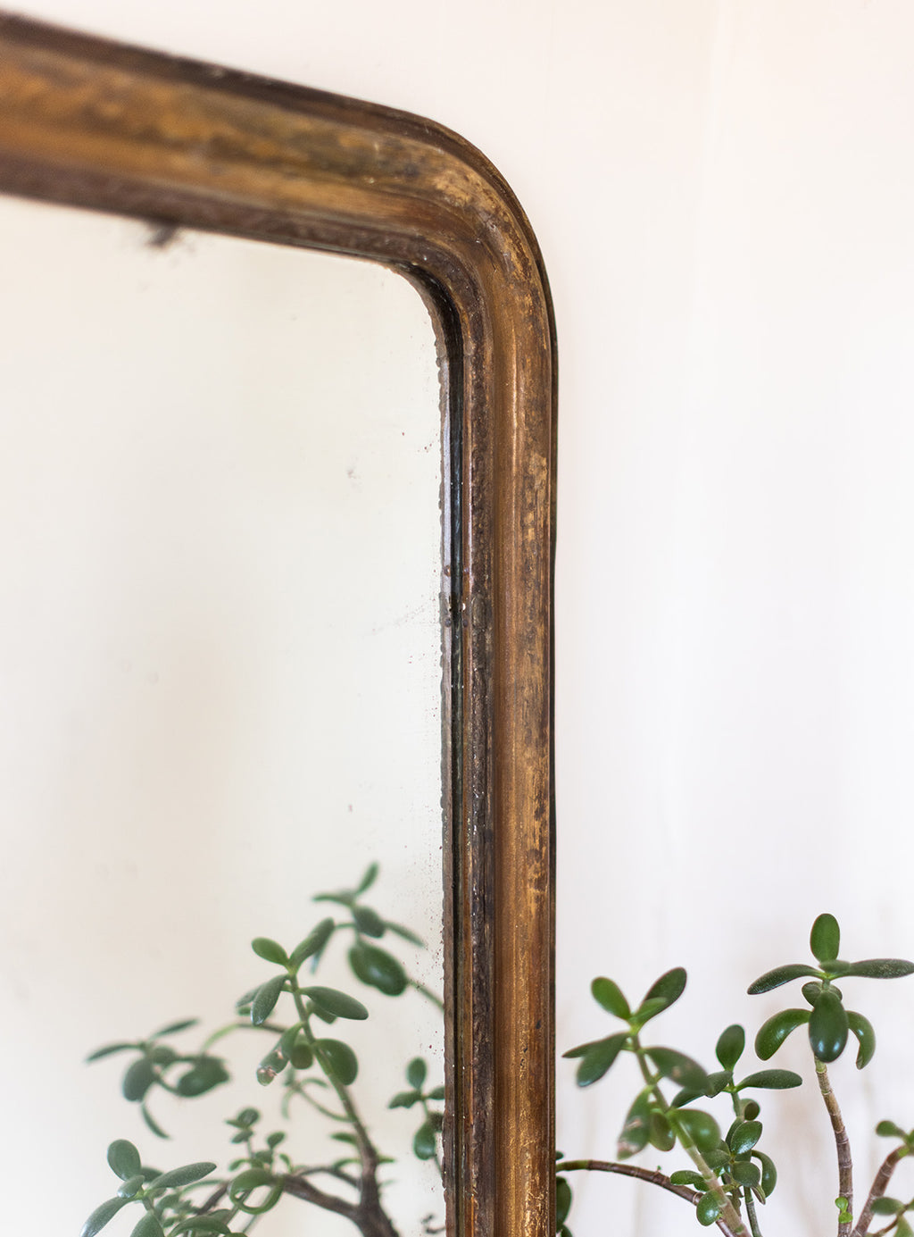 Louis Philippe Giltwood Mirror