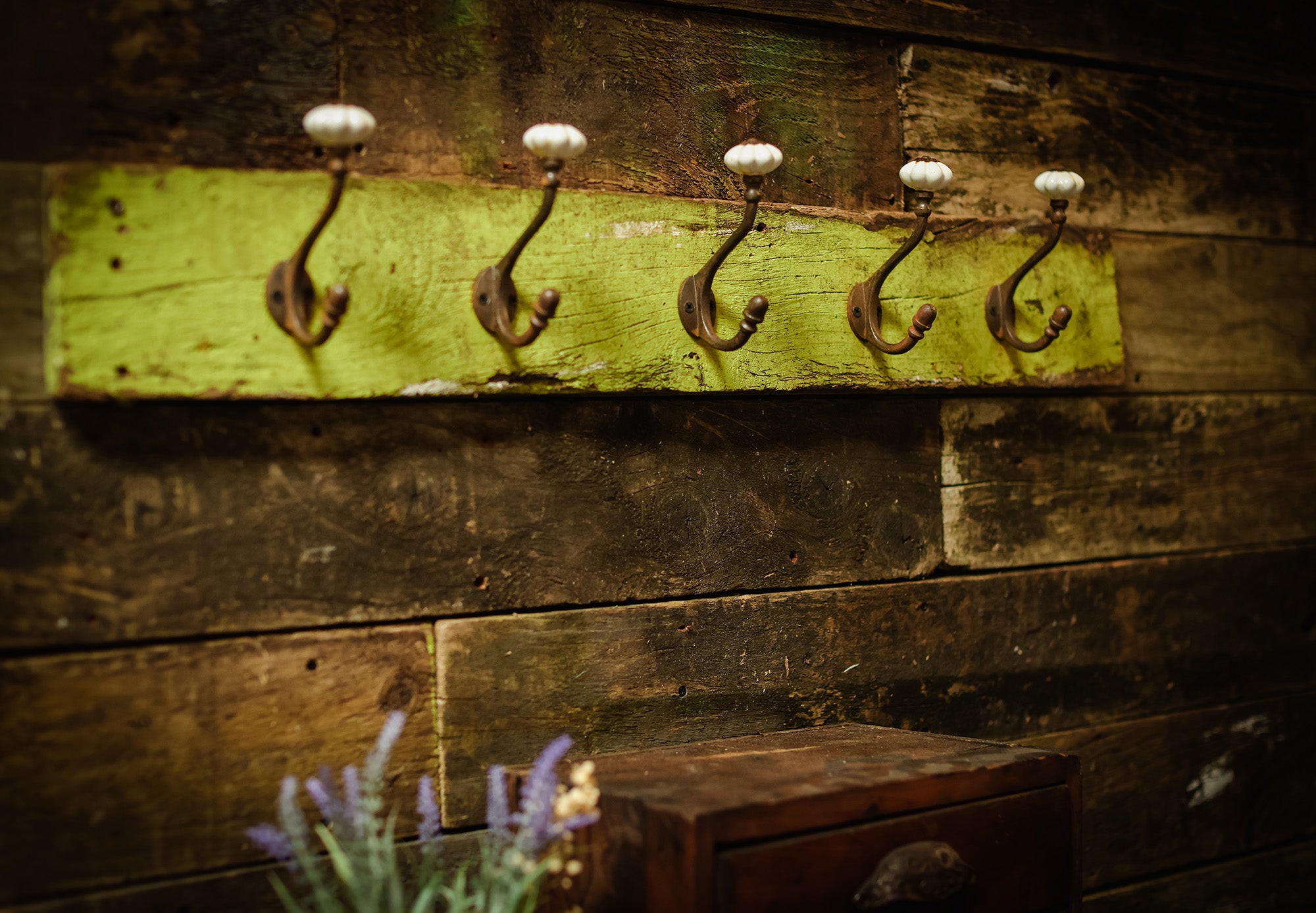 Vintage coat hooks on greed wood