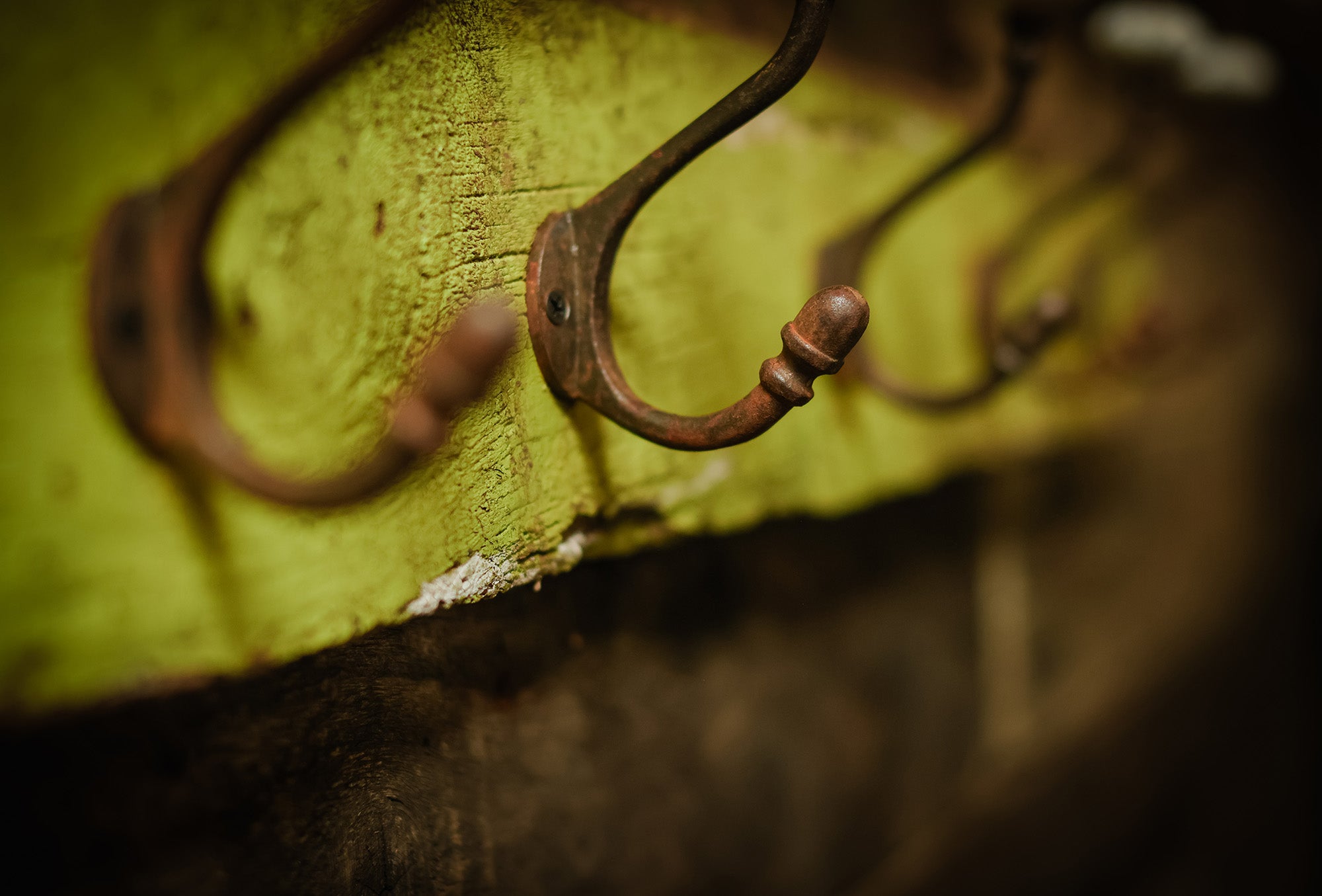 Vintage coat hooks on greed wood