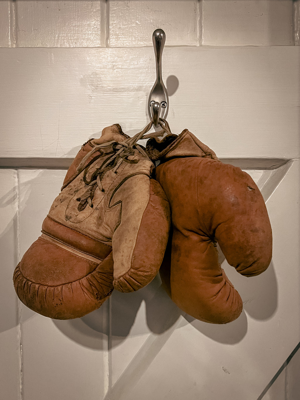 Boys Boxing Gloves