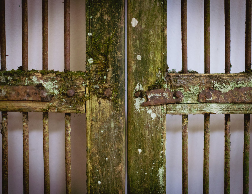 Vintage Indian Jali Doors (Pair)