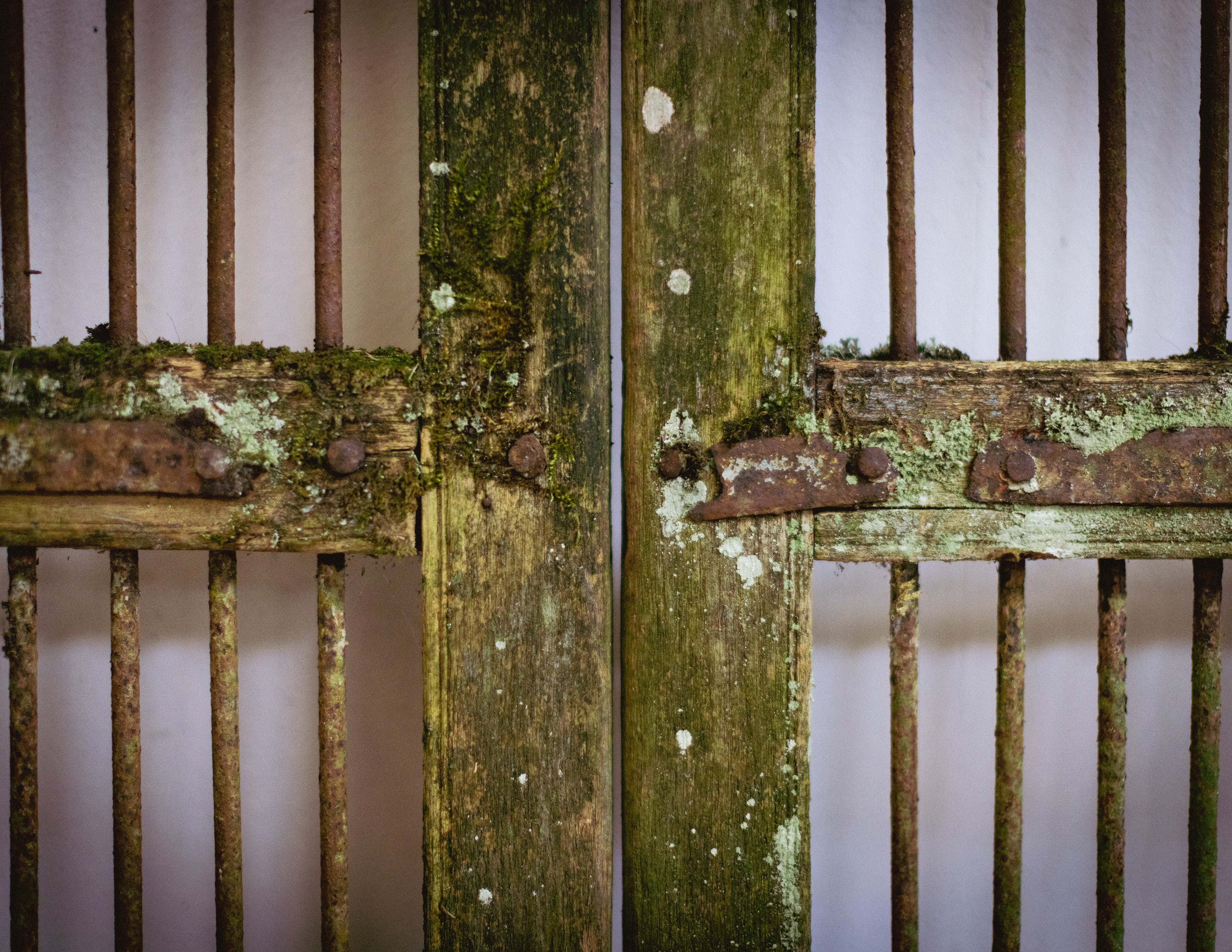 Vintage Indian Jali Doors (Pair)