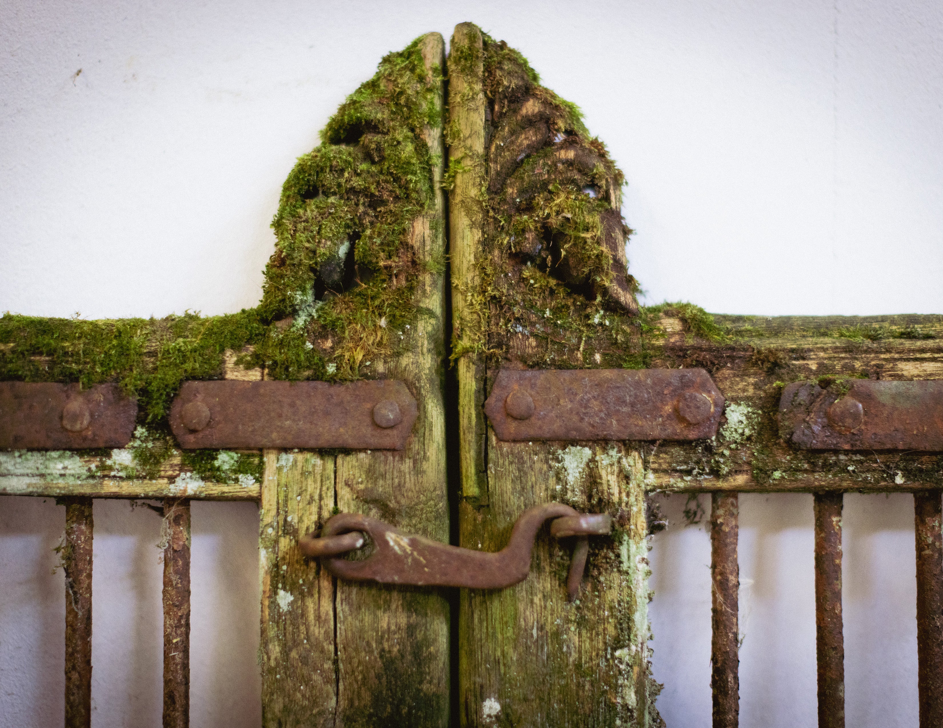 Vintage Indian Jali Doors (Pair)