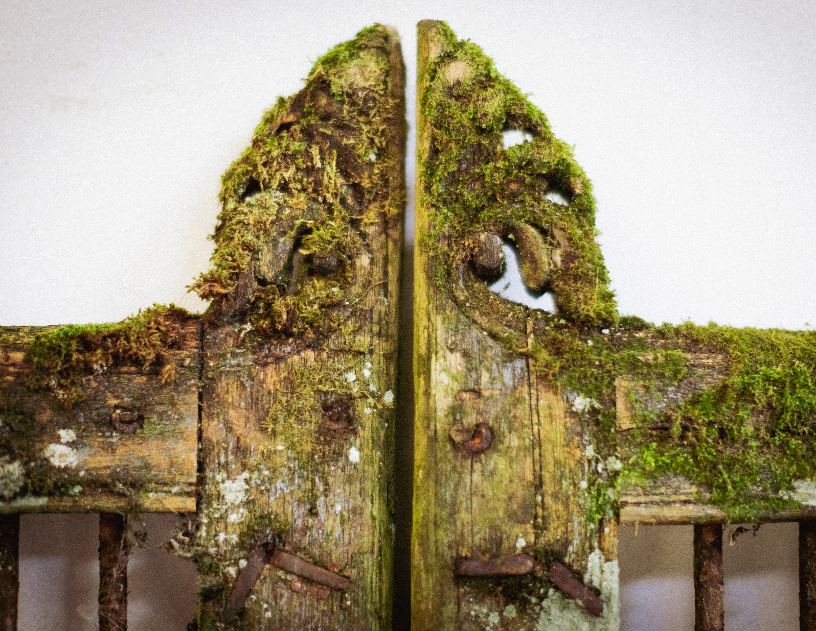 Vintage Indian Jali Doors (Pair)